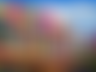 Opening Week Events and Specials at Universal Kids Resort – May 2026