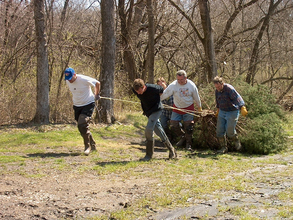 2009 Stream Bank Revitalization