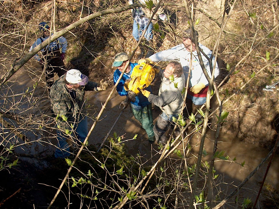 2009 Stream Bank Revitalization