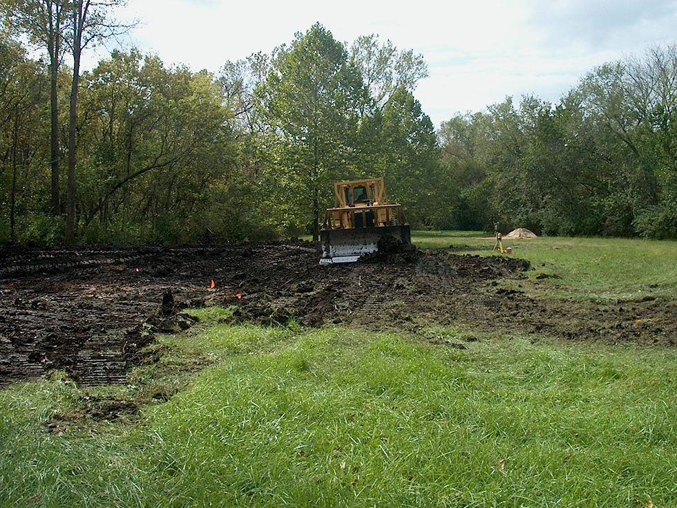 Wetland Construction