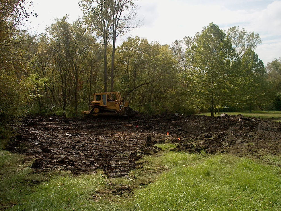 Wetland Construction