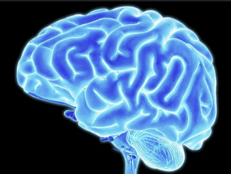 Dexmedetomidina atenuante de neuroapoptose induzida por isoflurano