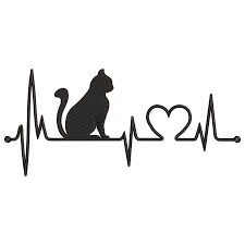 Efeitos de diferentes taxas de propofol com ou sem S-cetamina na função ventricular em gatos saudáveis ​​– um estudo randomizado