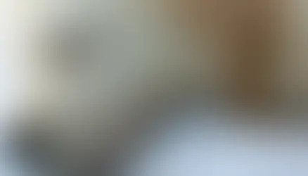 Farmacocinética e farmacodinâmica da administração intravenosa dexmedetomidina em cães