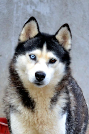 WhatsApp Image 2025-10-15 at 12.41.58_b017284f.jpg