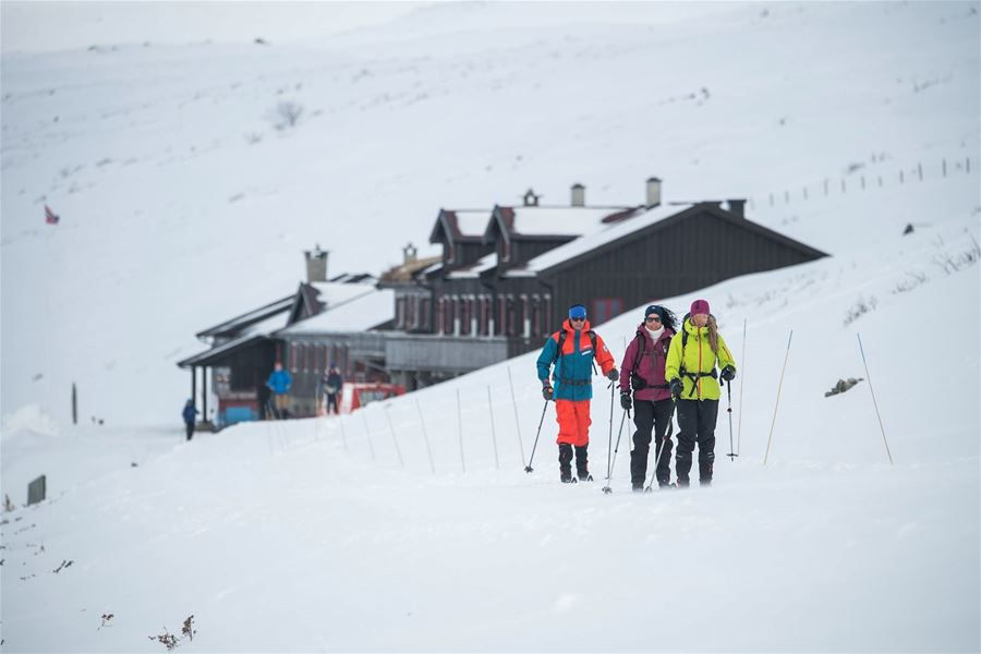 Volwassenenreis - Noorwegen - Langlauf- en/of wandelreis - Januari 2026