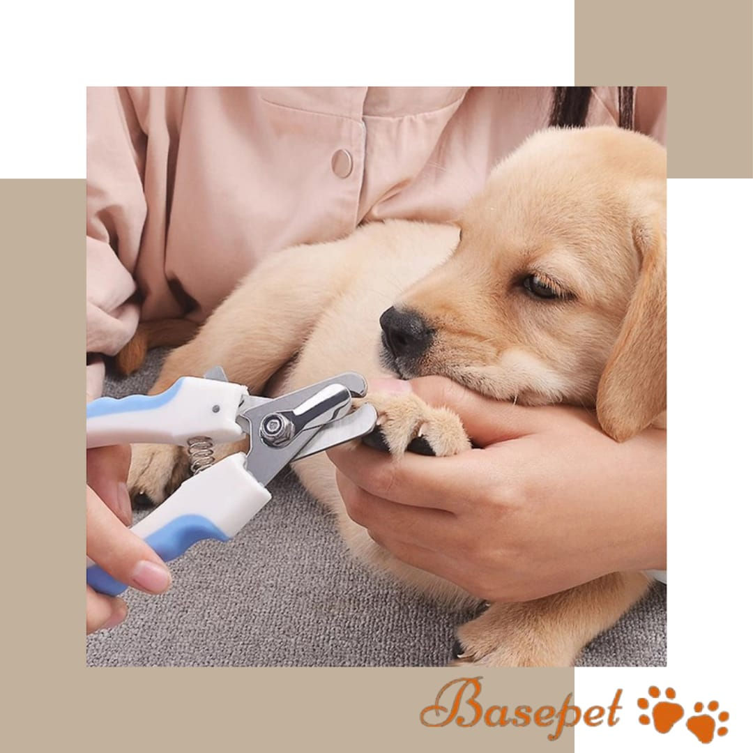 Pet Nail Clipper