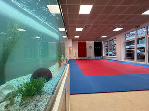 Pa Kua Studio in Bremen