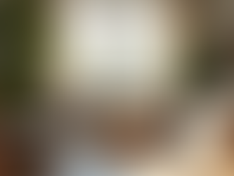 Creating a Greener Home for Pet Families