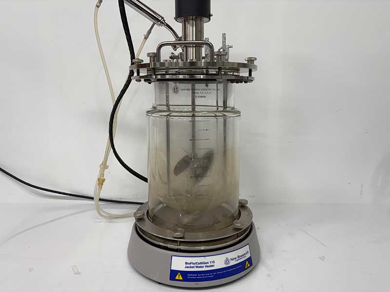 Thumbnail: New Brunswick BF-115 Fermentor, Bioreactor