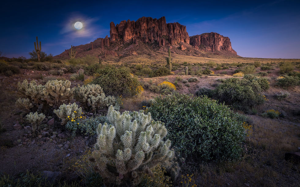 A full moon is shrouded by a cloud as it light sa scene of a western mountain, with saguro cactus midway in the scene and jumping Cholla cactus close up draw you into the drama of the West