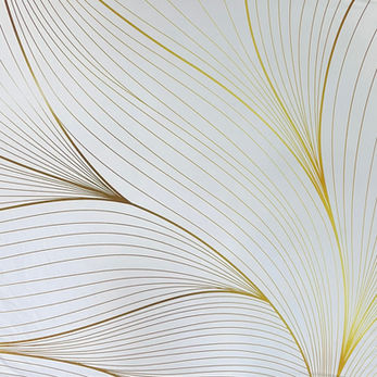 Perth Photobooth backdrop