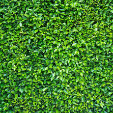 Perth photobooth backdrops