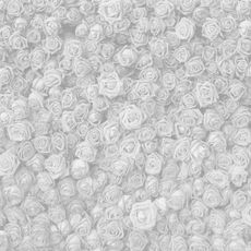 Perth photobooth backdrops