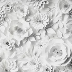 Perth Photo Booth hire backdrop