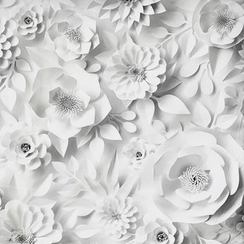 Perth Photo Booth hire backdrop