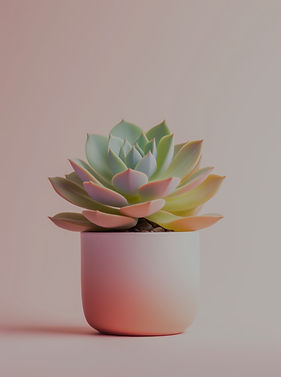 Succulent Plant_edited.jpg