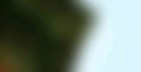 Palais de Changdeokgung (창덕궁)