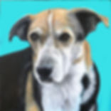 Sammie