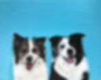 Bailey & Molly