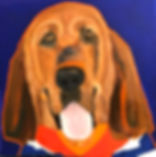 Roscoe