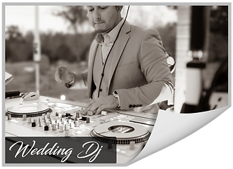 charleston sc wedding event dj services