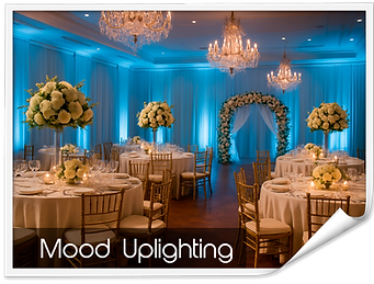 uplighting_we_dream_charleston_wedding_dj_columbia_nikko_wedream.png