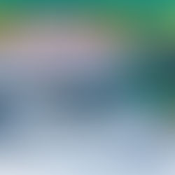 10月9日5時半出船