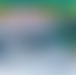 10月9日5時半出船