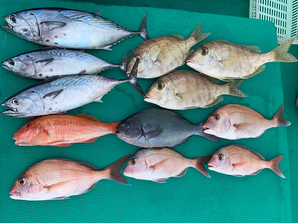 11月4日10時出船