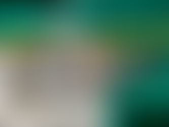 7月6日18時半出船