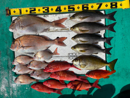 5月4日6時半出船