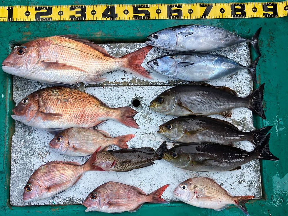 2月7日6時半出船