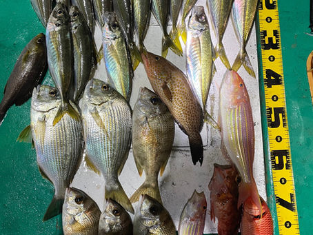 11月23日14時出船