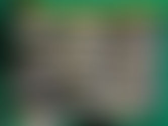 7月19日17時出船