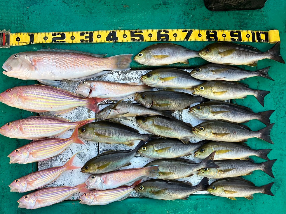 12月29日7時出船