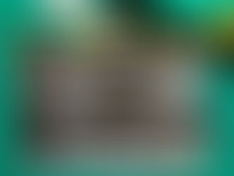 11月25日9時出船