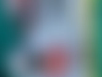 5月1日9時半出船