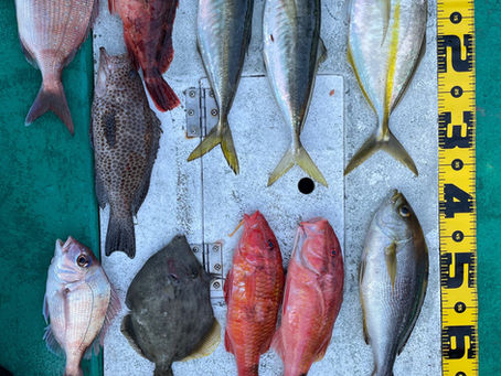 5月1日9時半出船