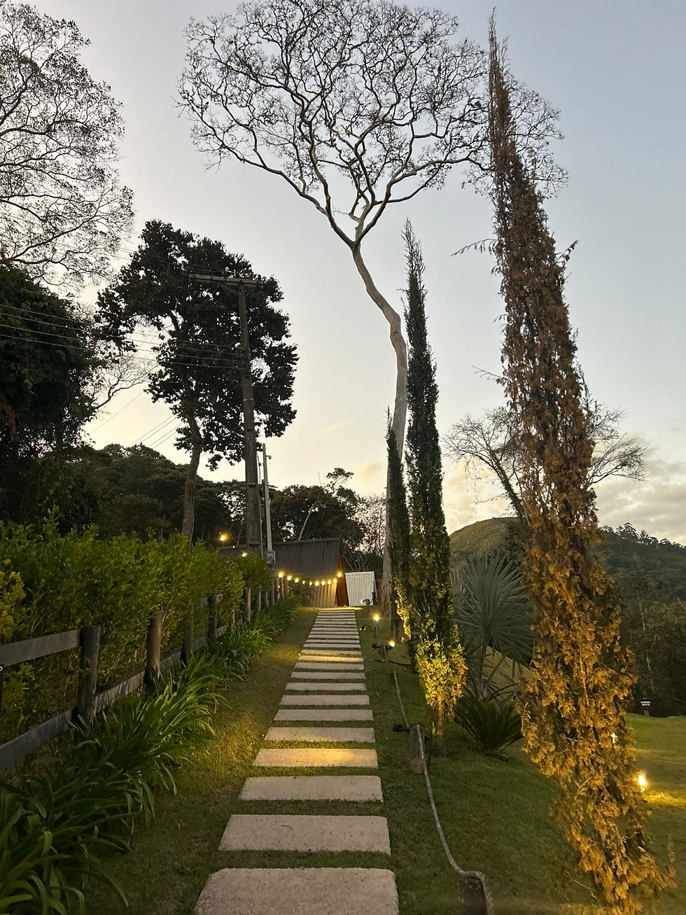 WhatsApp Image 2025-09-14 at 15.41.22.jpeg