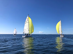 Image6.jpg