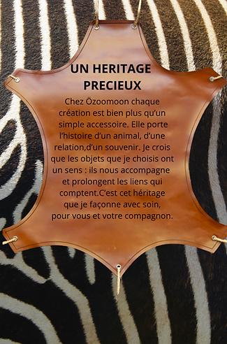 Design sans titre (64).png