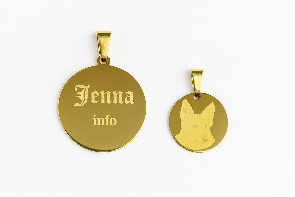 Miniature : Médaille Personnalisable pour Chien – Élégance & Sécurité