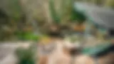 Image Asset.webp