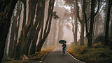 The Wylde Path_ From Trapped to Transformed.jpg