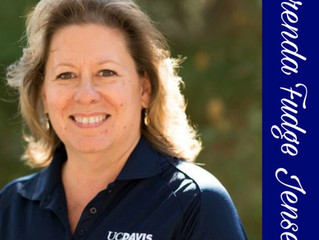 Exclusive interview with a UCD admissions director!