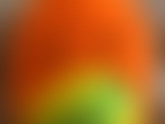 Squishmallows represent!