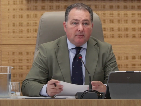 El Pleno de la Diputación de Huelva respalda la candidatura de la ciudad como sede del Campeonato Europeo de Bádminton 2026