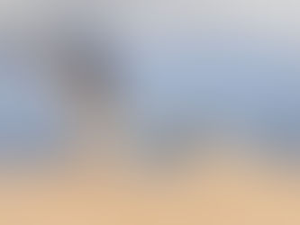 La fotografía ‘Rojo Vivo’, obra de Francisco Romero, ganadora del certamen Alas del Odiel 2025