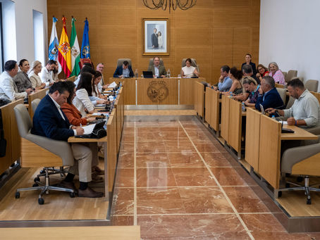El Pleno de Diputación aprueba solicitar a los fondos FEDER 5,5 millones de euros para la Cuenca Minera y el Andévalo